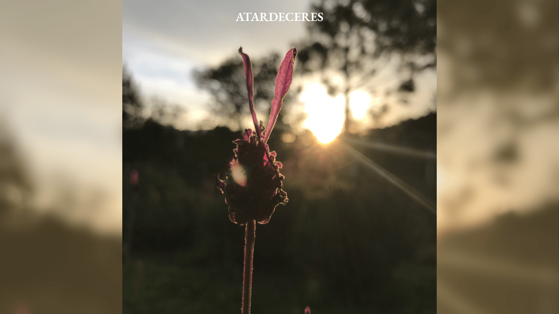 finca atardeceres