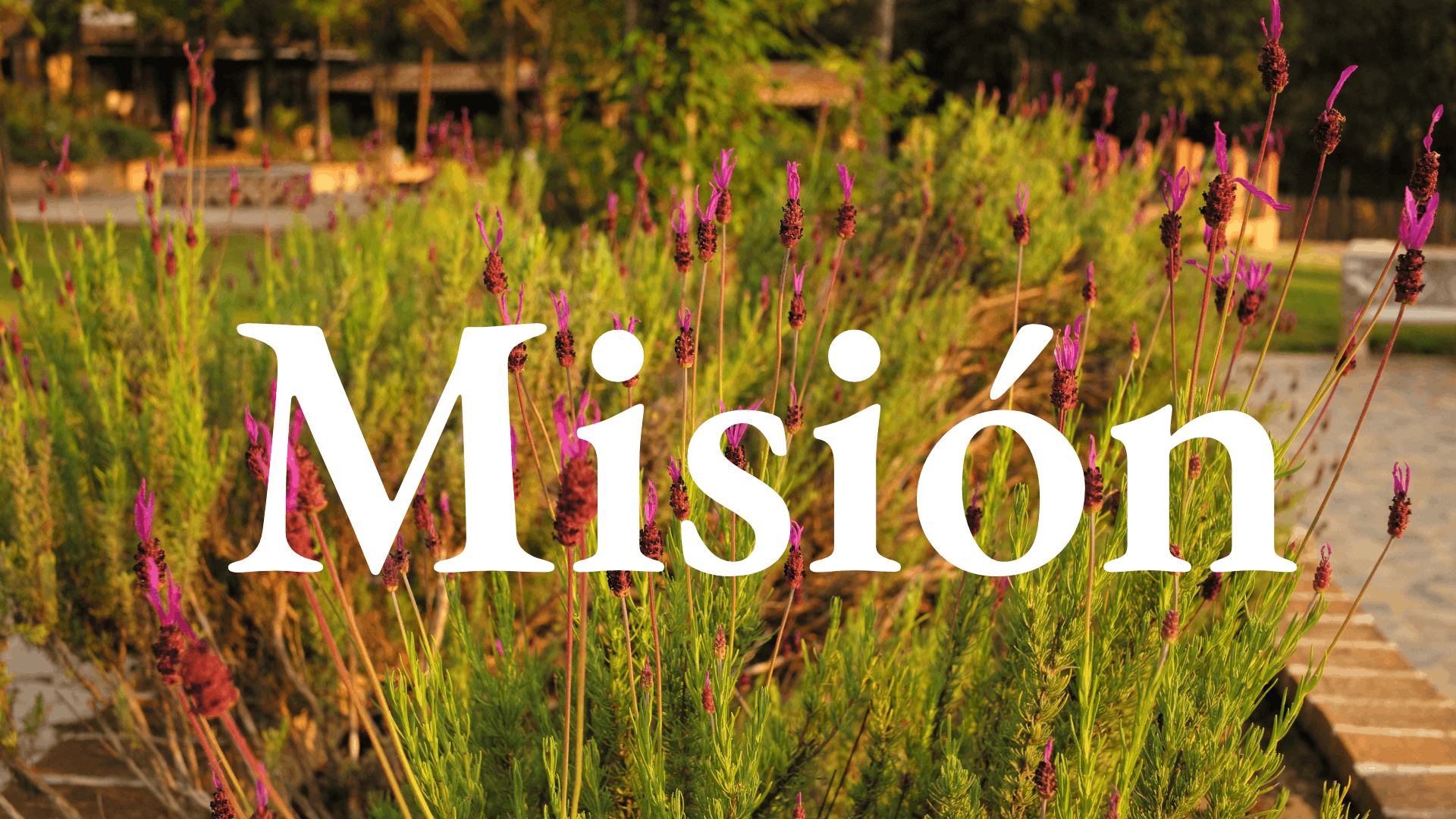 Mision finca aromática