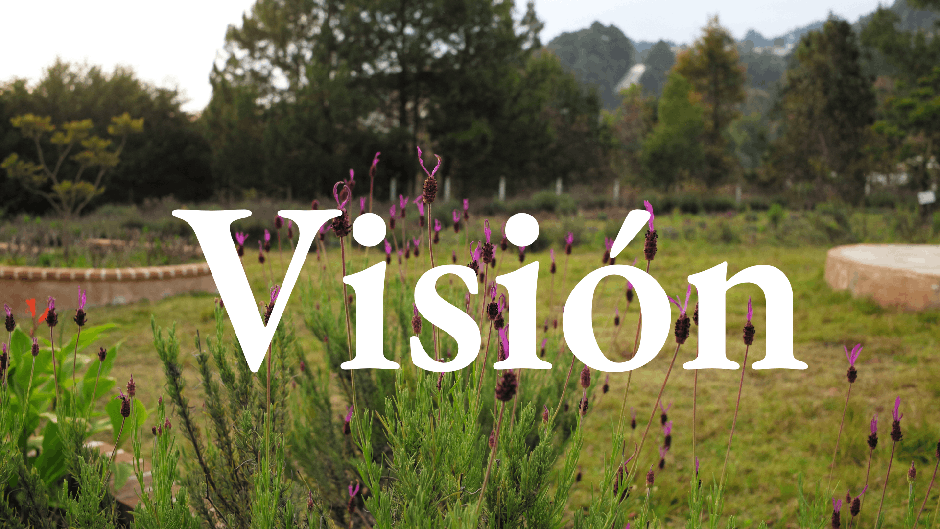 visión finca a